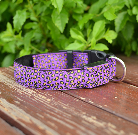 Collar de perro LED Collar de mascota de leopardo de nailon ajustable de seguridad