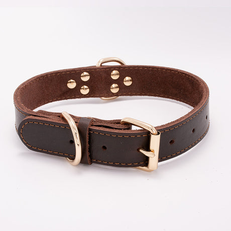 Collar de perro