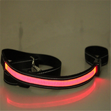 collar de perro fluorescente