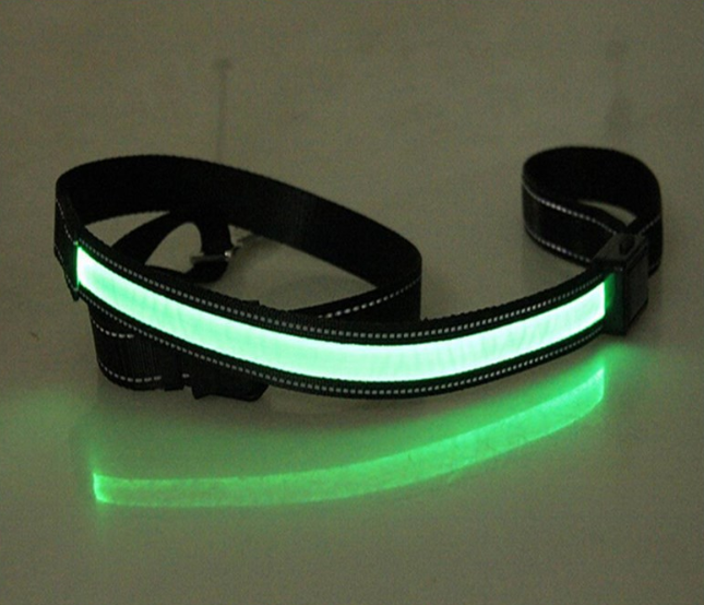 collar de perro fluorescente