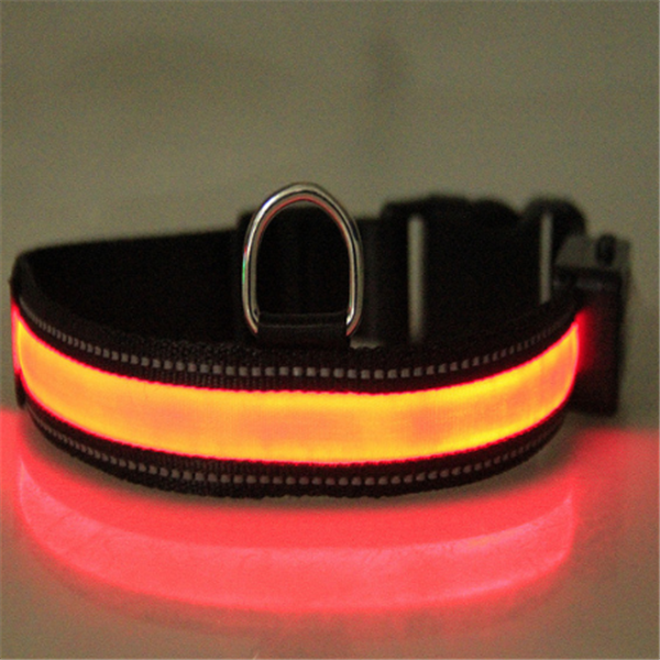 collar de perro fluorescente