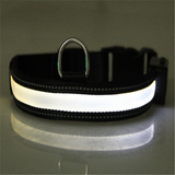 collar de perro fluorescente