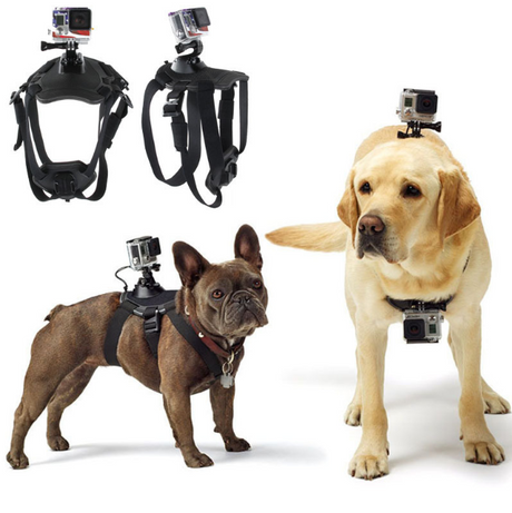 Arnés con correa para perro GoPro Hero