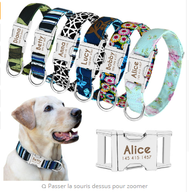 Collar con nombre para perro, Collar para perro grande personalizado, etiqueta con letras