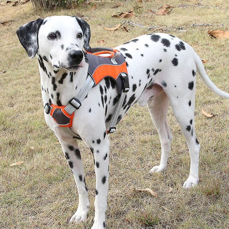 Suministros para mascotasCorreas para perros Correas para el pecho Chalecos reflectantes Correas para mascotas Correas para perros