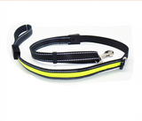 collar de perro fluorescente