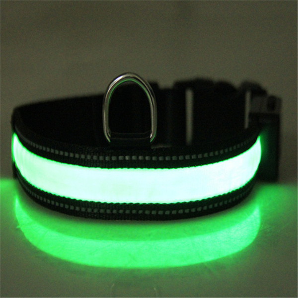 collar de perro fluorescente