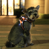 Collar de perro brillante