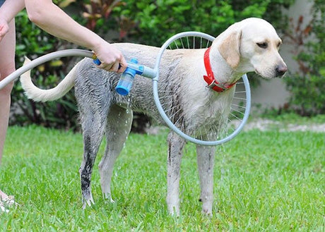 Anillo de baño para suministros para mascotas de 360 ​​grados completamente automático