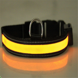 collar de perro fluorescente