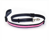 collar de perro fluorescente