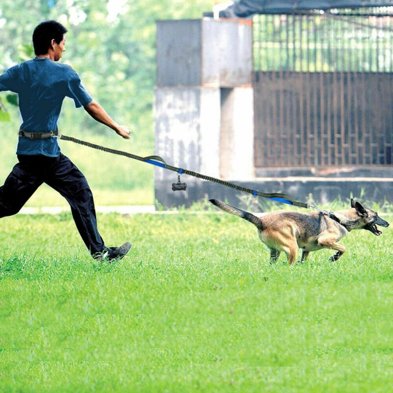 El animal doméstico directo de Amazon suministra la tracción reflexiva multifuncional de la correa de perro del tirón de la correa de perro elástico doble