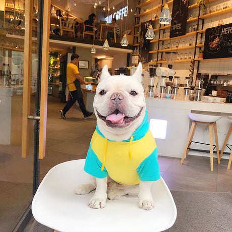 Linda ropa de algodón para mascotas.