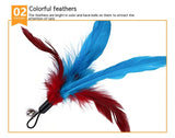 Juguete para gatos, pluma, campana retráctil, repuesto, cabezal de pesca, caña de pescar, juego de 12 piezas