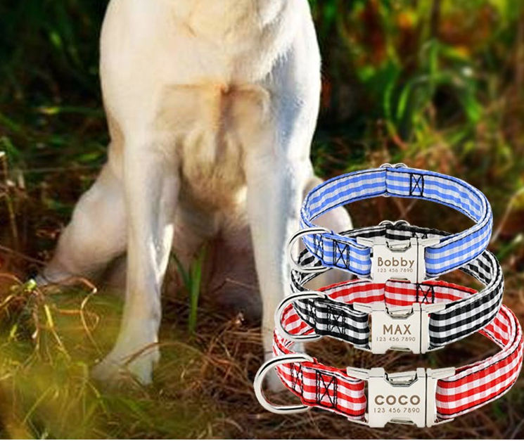 Pet Dog Name Collar Custom Large Dog Collar Lettering Tag