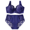 Gathered Lace Ladies Plus Size Panties Underwear Bra Set