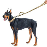 Training Dog Leash