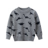 Boys sweater children's sweater