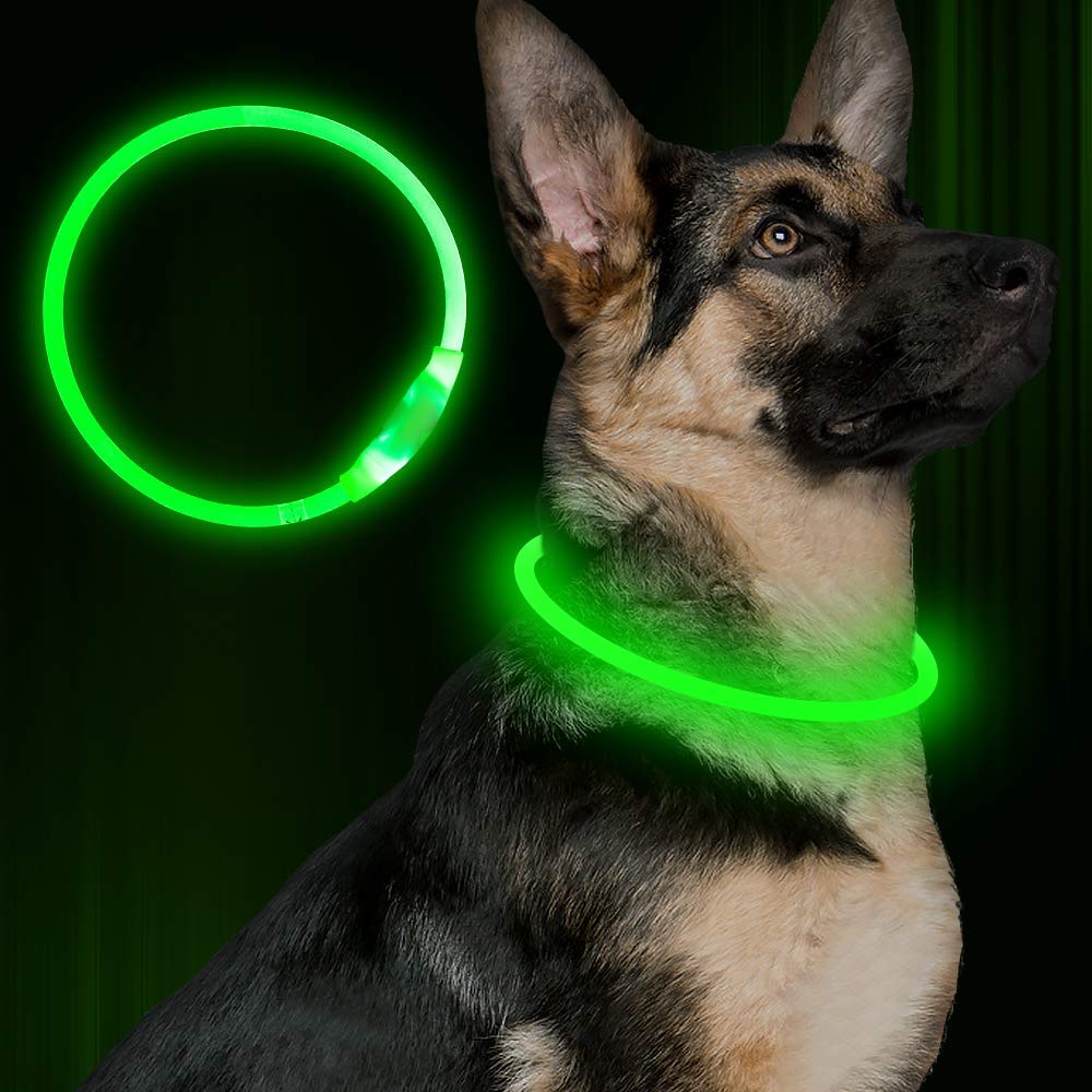 Collar intermitente para mascotas, Collar brillante recargable por USB, Collar de seguridad iluminado, collares para caminar de noche, Collar eléctrico para perros de neón