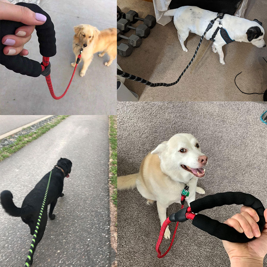 Cachorros de cadena con correa luminosa para perros pequeños y medianos